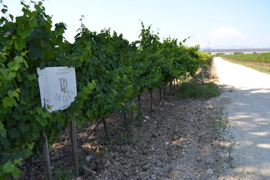 Agriturismo De Luca Mozzagrogna Eksteriør bilde