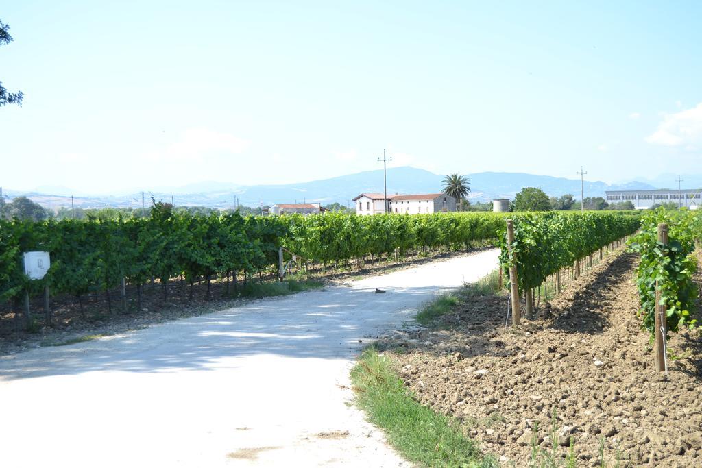 Agriturismo De Luca Mozzagrogna Eksteriør bilde