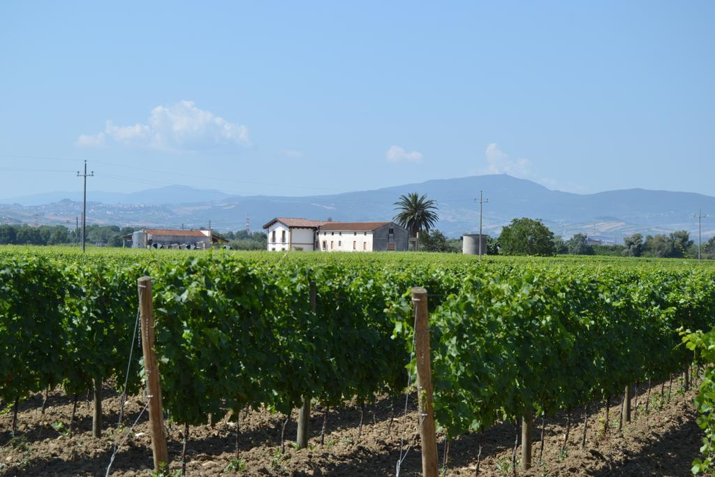 Agriturismo De Luca Mozzagrogna Eksteriør bilde